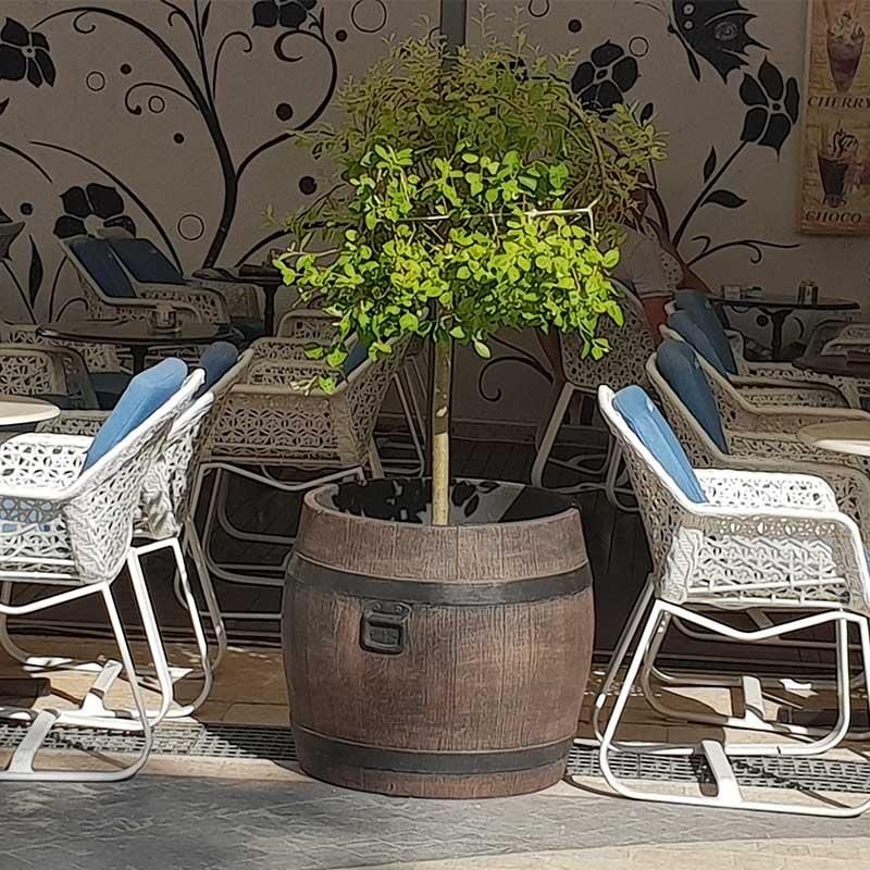 Roto posuda za cvijeće Bolero L