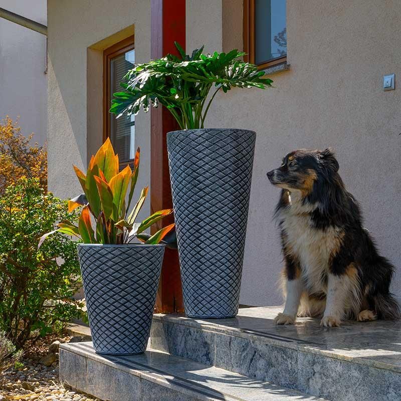 Roto posuda za cvijeće Latino L