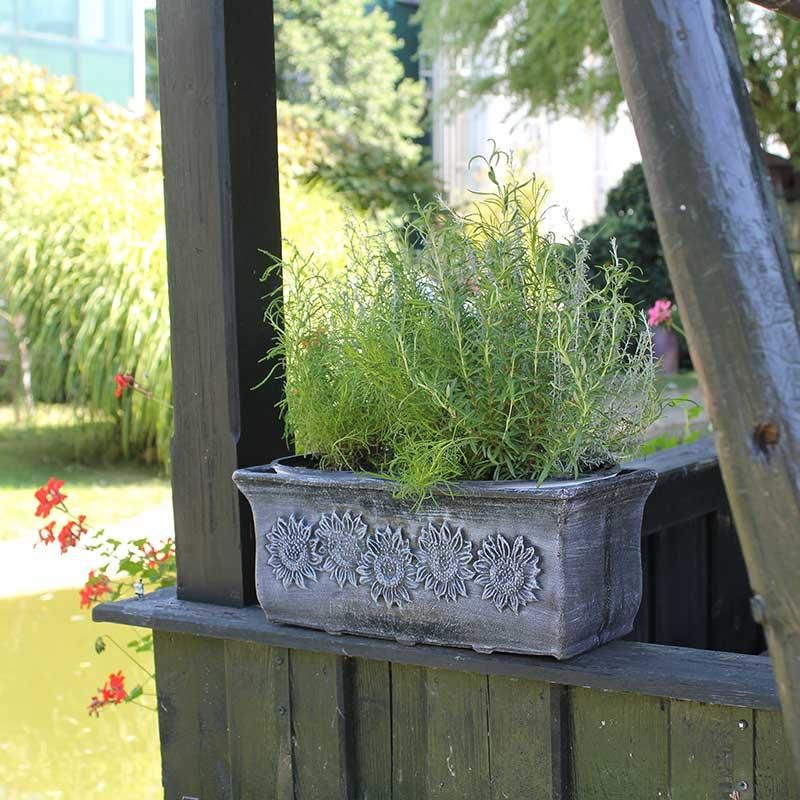 Roto pravokutna tegla za cvijeće Planika XL