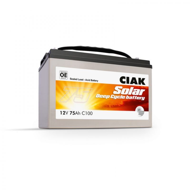ciak agm servisni akumulator deepcycle 105   230ah