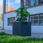 Roto cvjetna posuda Tango granit L