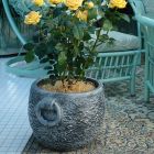 Roto posuda za cvijeće Kamnito L