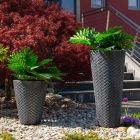 Roto posuda za cvijeće Latino L