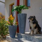 Roto posuda za cvijeće Latino L