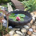 Roto posuda za cvijeće Marjetica izbijeljena S