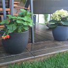 Roto posuda za cvijeće Rumba granit S