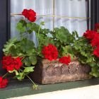 Roto pravokutna tegla za cvijeće Planika S Granit